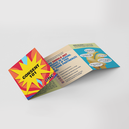 [11E08U] Pamphlet - What is an Internal Condom?, Pack of 100