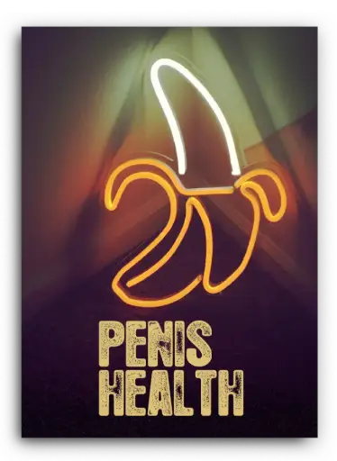 [11E05U] Penis Health Pamphlet, Pack of 100