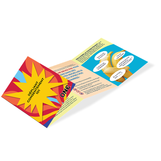 [11E27U] Consent 101 Pamphlet (French), Pack of 100