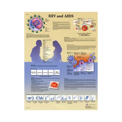 [VR1725L] HIV and AIDS Laminated Chart